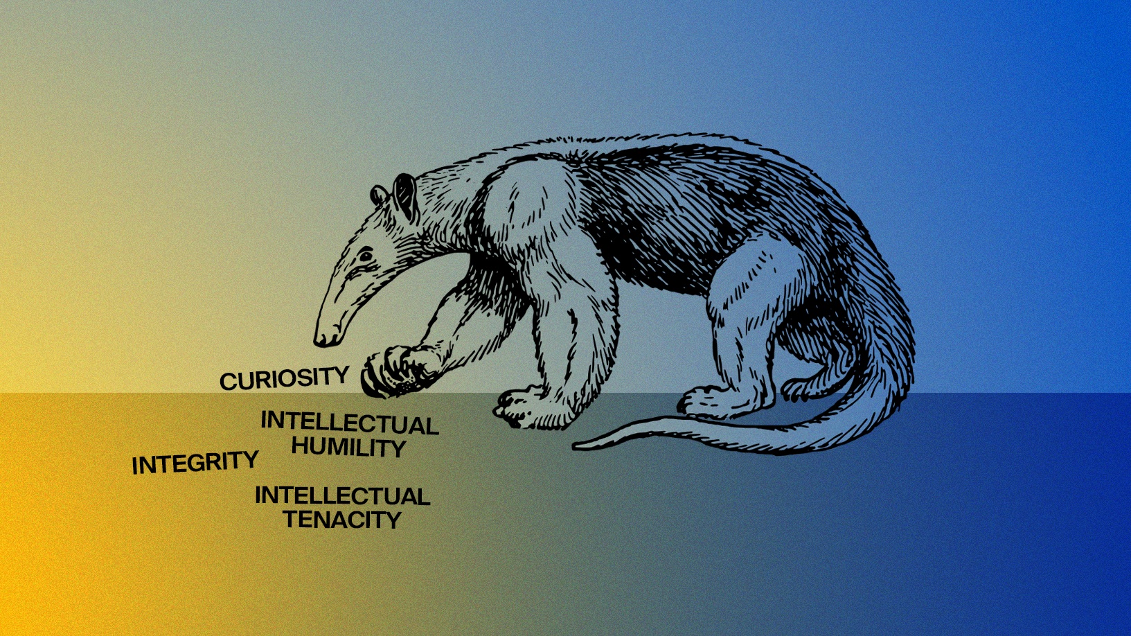 Knowledge and Virtue at the University of California, Irvine