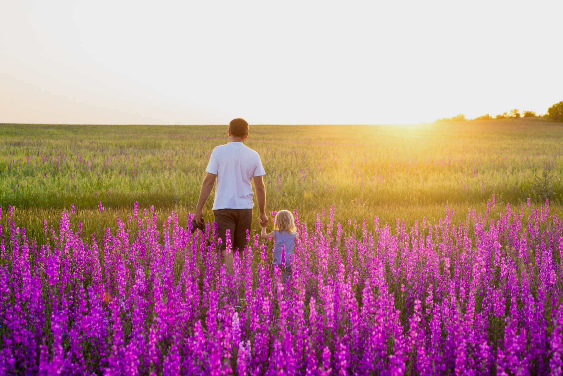 Q&A with Dr. Robert Waldinger, Co-Author of The Good Life