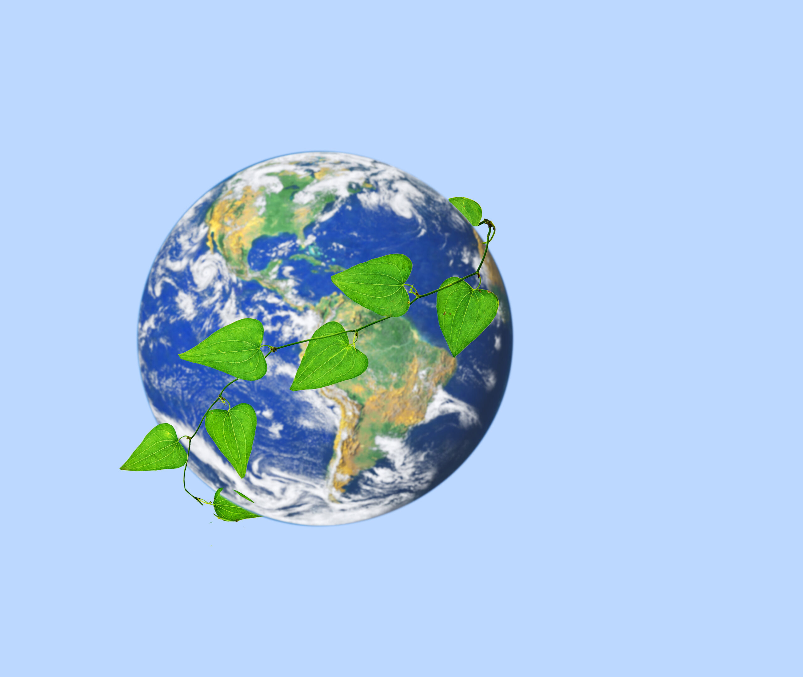 A Global Mindset