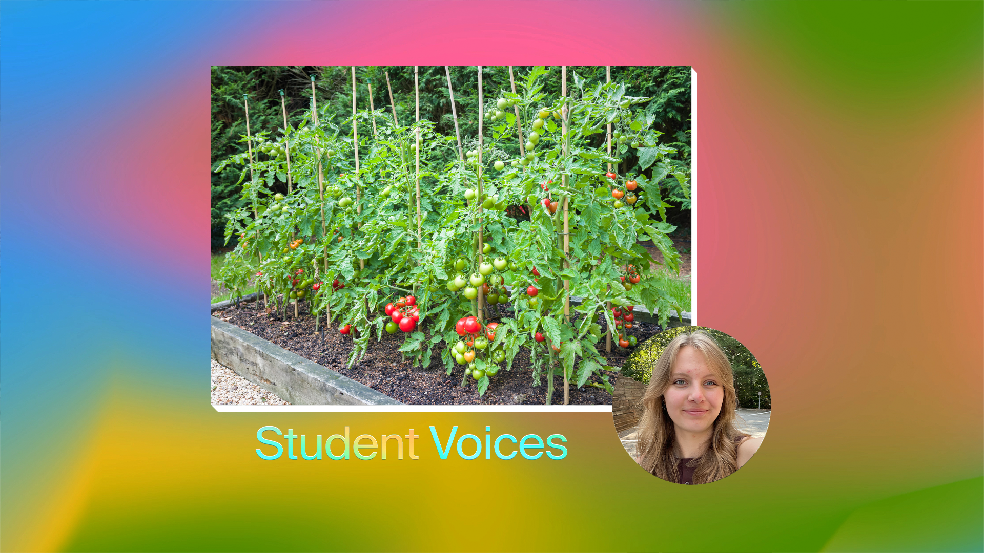 On Tomatoes and the Power of Being Known