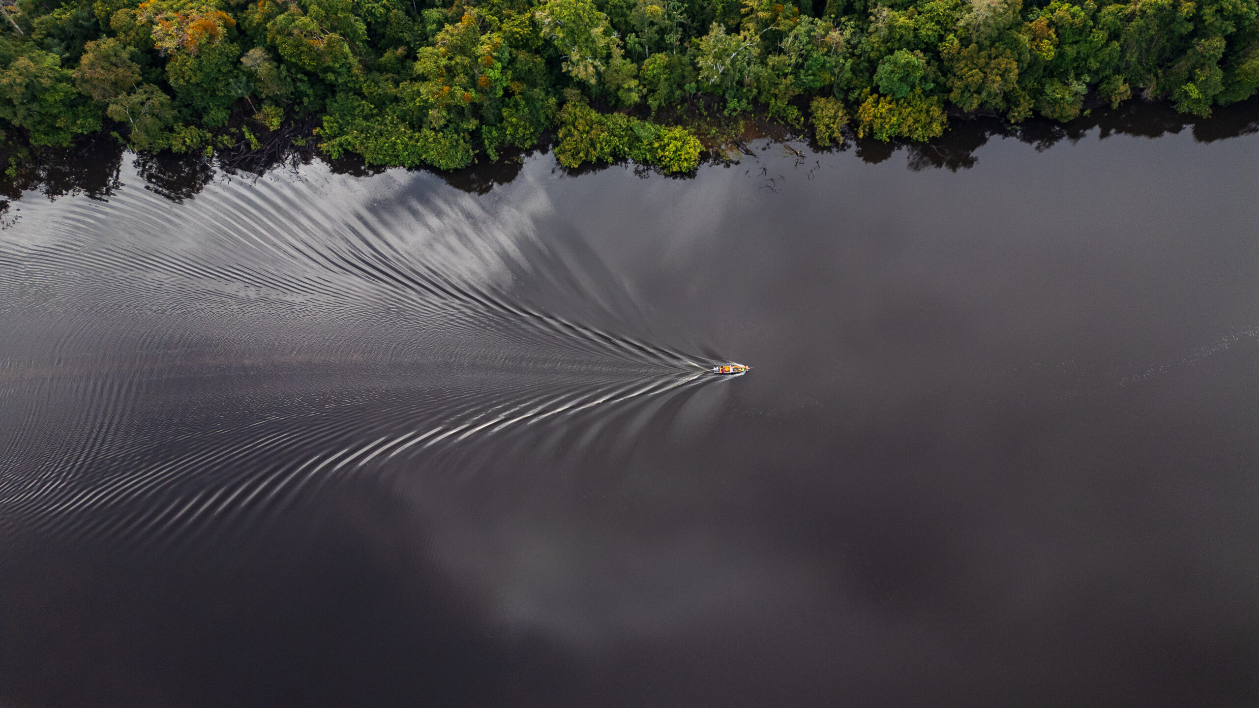 Going Upstream